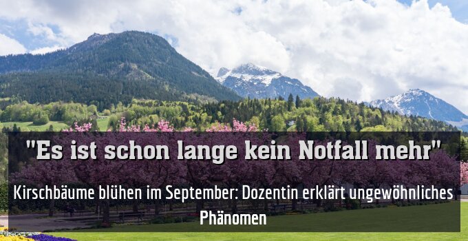 Kirschbäume blühen im September: Dozentin erklärt ungewöhnliches Phänomen