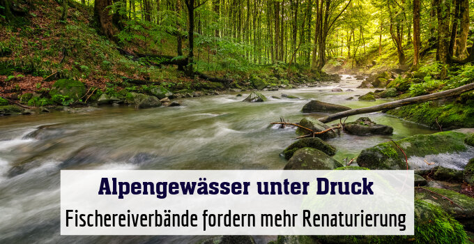 Fischereiverbände fordern mehr Renaturierung