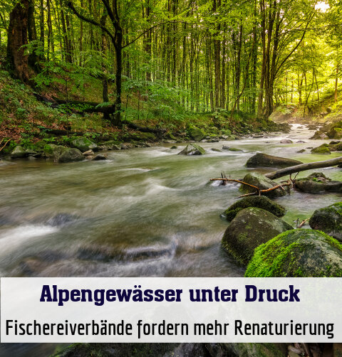 Fischereiverbände fordern mehr Renaturierung