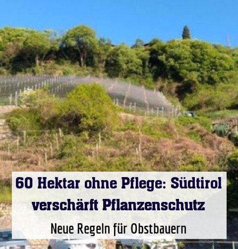Neue Regeln für Obstbauern