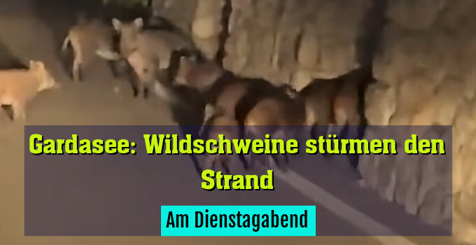 Am Dienstagabend