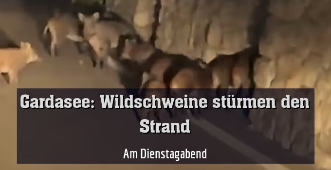 Am Dienstagabend