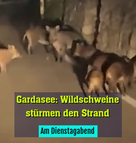 Am Dienstagabend