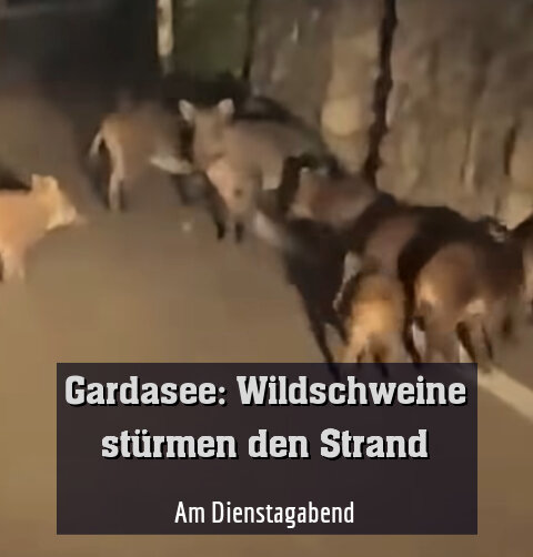 Am Dienstagabend