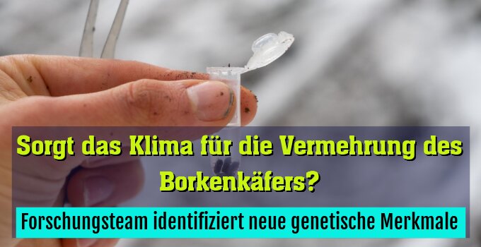Forschungsteam identifiziert neue genetische Merkmale