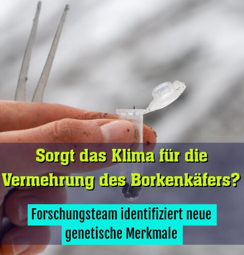 Forschungsteam identifiziert neue genetische Merkmale