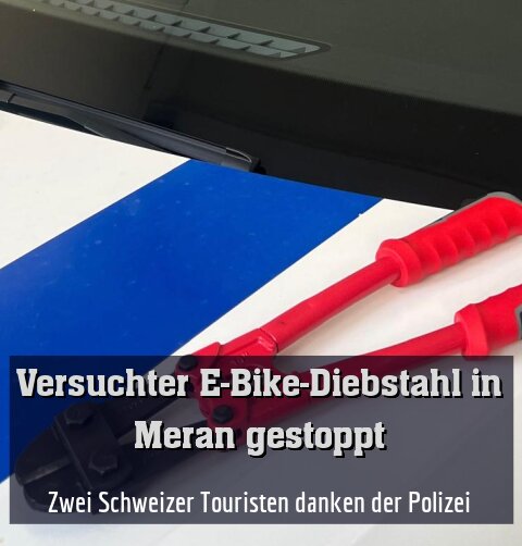 Zwei Schweizer Touristen danken der Polizei