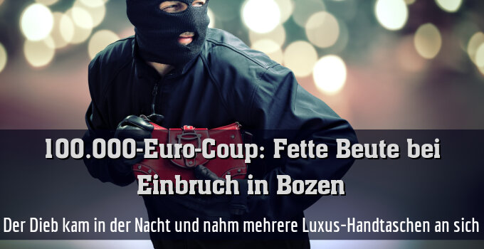 Der Dieb kam in der Nacht und nahm mehrere Luxus-Handtaschen an sich
