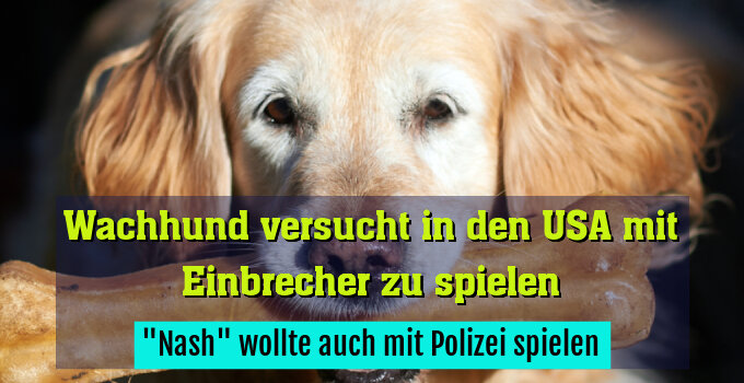 "Nash" wollte auch mit Polizei spielen