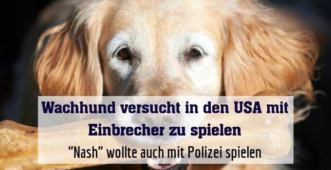 "Nash" wollte auch mit Polizei spielen