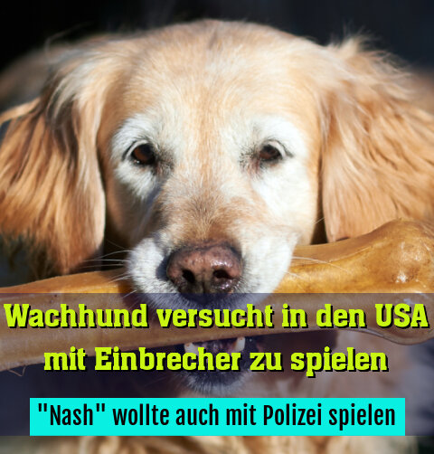"Nash" wollte auch mit Polizei spielen