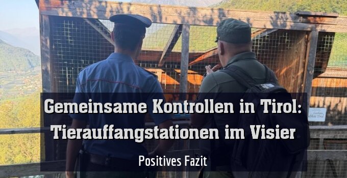 Positives Fazit