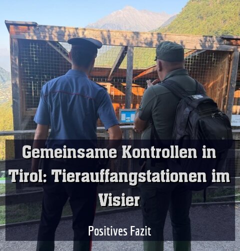 Positives Fazit