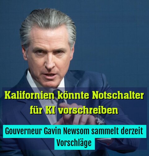 Gouverneur Gavin Newsom sammelt derzeit Vorschläge
