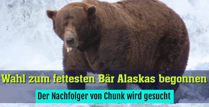 Der Nachfolger von Chunk wird gesucht