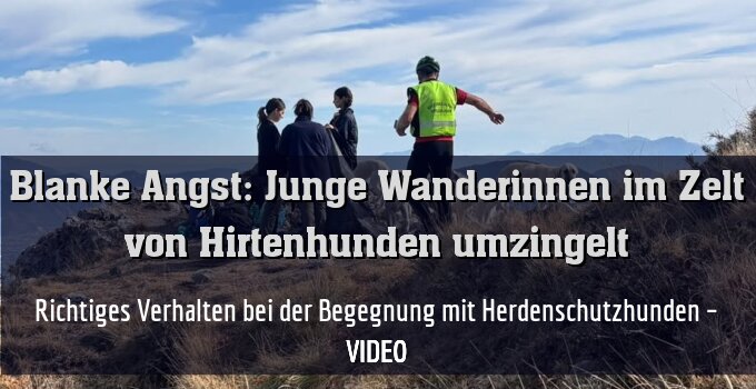 Richtiges Verhalten bei der Begegnung mit Herdenschutzhunden – VIDEO