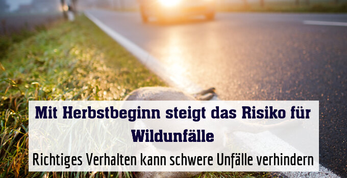 Richtiges Verhalten kann schwere Unfälle verhindern