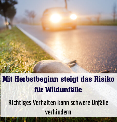 Richtiges Verhalten kann schwere Unfälle verhindern