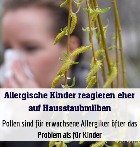 Pollen sind für erwachsene Allergiker öfter das Problem als für Kinder