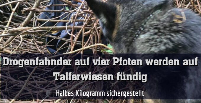 Halbes Kilogramm sichergestellt