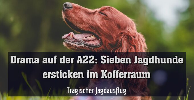 Tragischer Jagdausflug