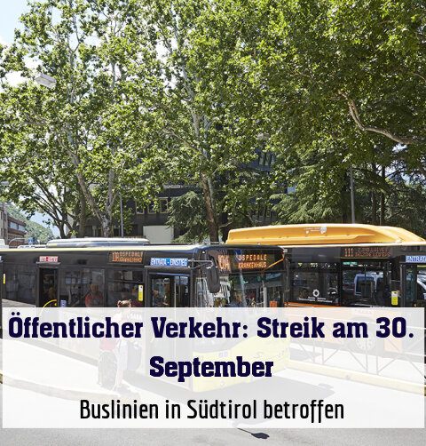 Buslinien in Südtirol betroffen