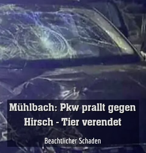 Beachtlicher Schaden