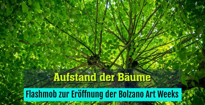 Flashmob zur Eröffnung der Bolzano Art Weeks