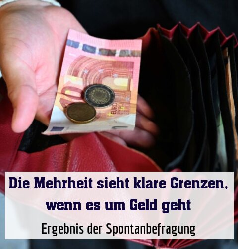 Ergebnis der Spontanbefragung