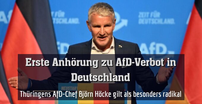 Thüringens AfD-Chef Björn Höcke gilt als besonders radikal (Archivbild)