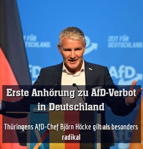 Thüringens AfD-Chef Björn Höcke gilt als besonders radikal (Archivbild)