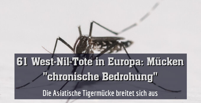 Die Asiatische Tigermücke breitet sich aus