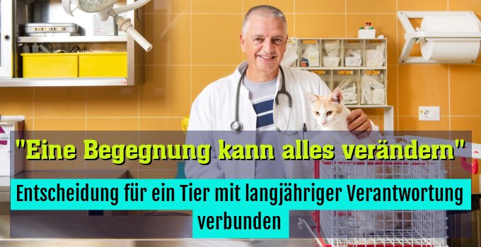 Entscheidung für ein Tier mit langjähriger Verantwortung verbunden
