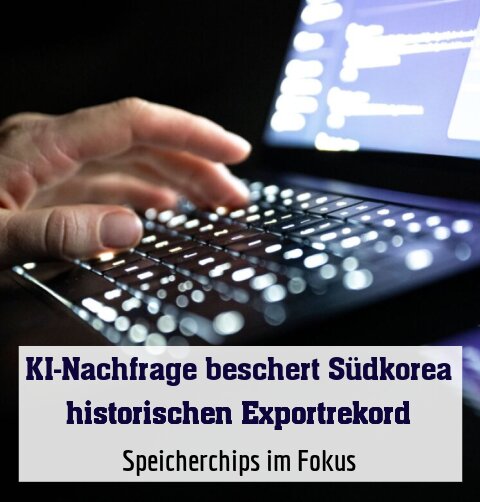Speicherchips im Fokus