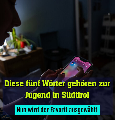 Nun wird der Favorit ausgewählt