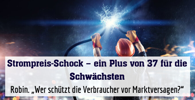 Robin. „Wer schützt die Verbraucher vor Marktversagen?“