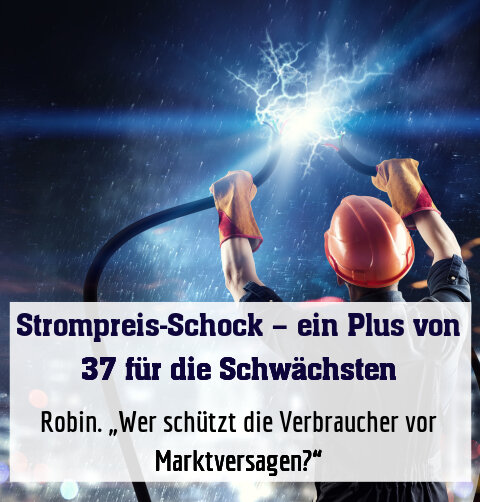 Robin. „Wer schützt die Verbraucher vor Marktversagen?“