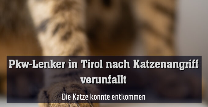Die Katze konnte entkommen