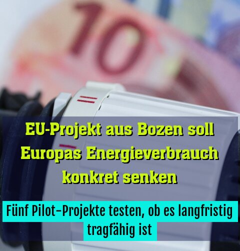 Fünf Pilot-Projekte testen, ob es langfristig tragfähig ist