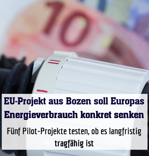 Fünf Pilot-Projekte testen, ob es langfristig tragfähig ist