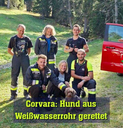 Zum Glück ist alles gut ausgegangen!