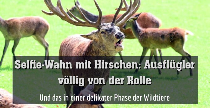 Und das in einer delikater Phase der Wildtiere