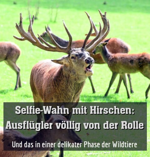 Und das in einer delikater Phase der Wildtiere