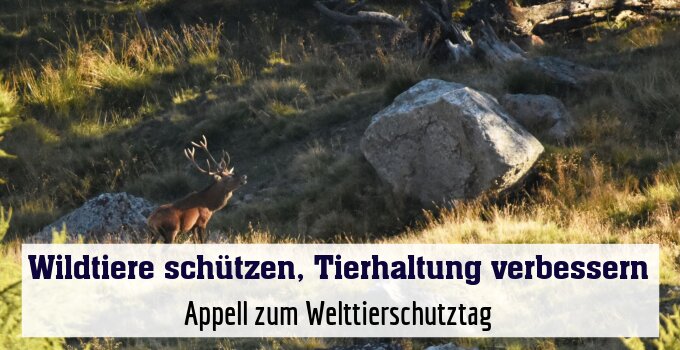 Appell zum Welttierschutztag