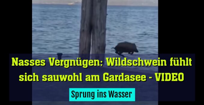 Sprung ins Wasser