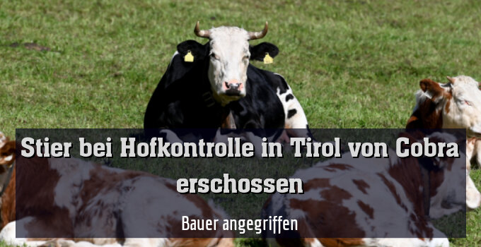 Bauer angegriffen
