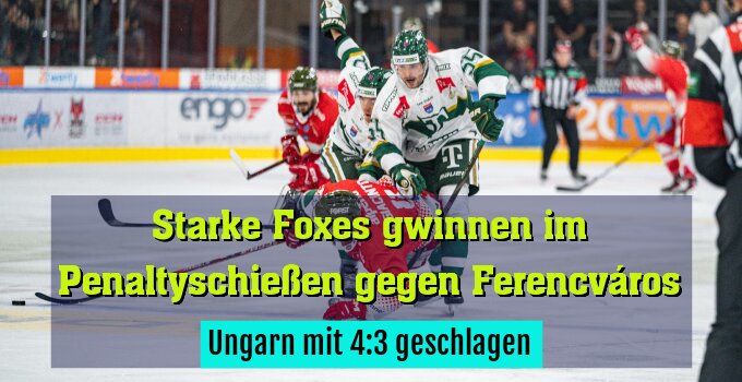 Ungarn mit 4:3 geschlagen