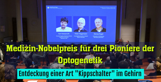 Entdeckung einer Art "Kippschalter" im Gehirn