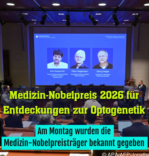 Entdeckung einer Art "Kippschalter" im Gehirn