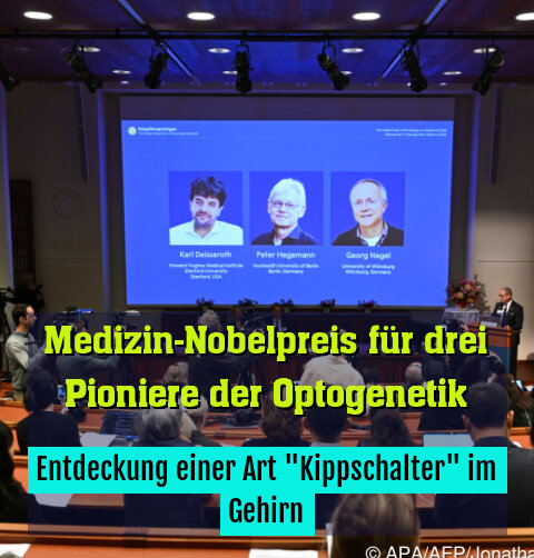 Entdeckung einer Art "Kippschalter" im Gehirn